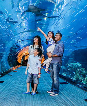 Dubai Aquarium and Underwater Zoo tour dmc b2b